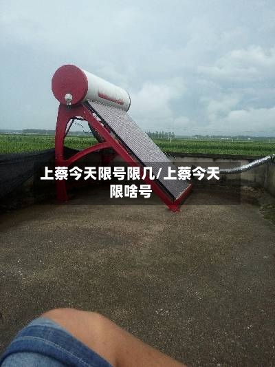 上蔡今天限号限几/上蔡今天限啥号-第3张图片