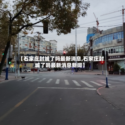 【石家庄封城了吗最新消息,石家庄封城了吗最新消息新闻】-第2张图片