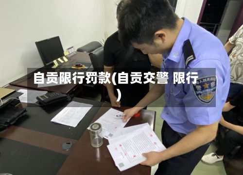 自贡限行罚款(自贡交警 限行)-第3张图片