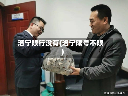 洛宁限行没有(洛宁限号不限)-第3张图片
