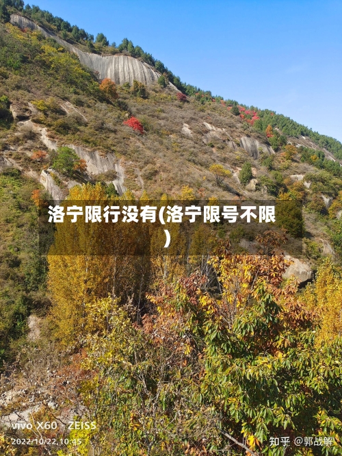 洛宁限行没有(洛宁限号不限)