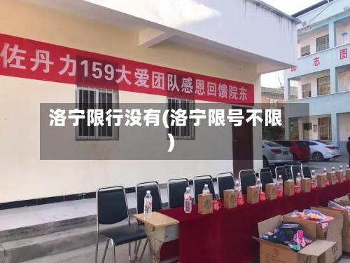 洛宁限行没有(洛宁限号不限)-第2张图片
