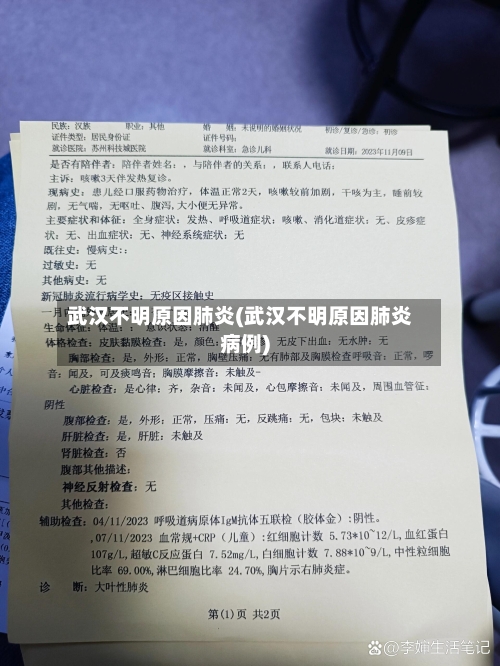 武汉不明原因肺炎(武汉不明原因肺炎病例)-第2张图片