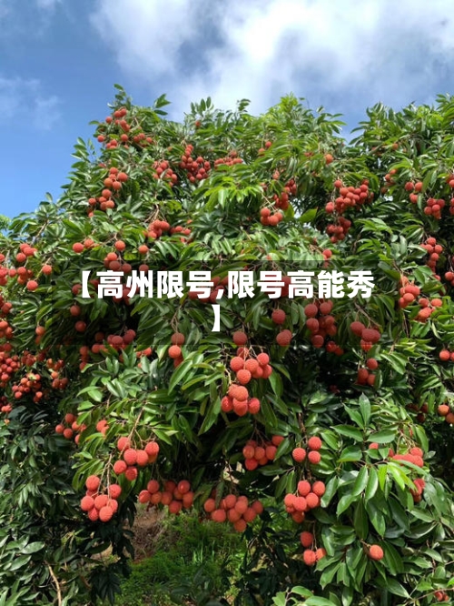 【高州限号,限号高能秀】-第2张图片