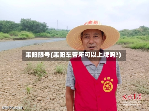 耒阳限号(耒阳车管所可以上牌吗?)-第2张图片