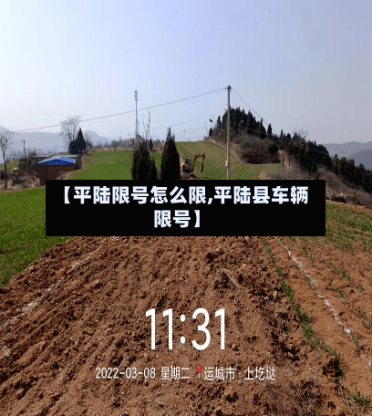 【平陆限号怎么限,平陆县车辆限号】