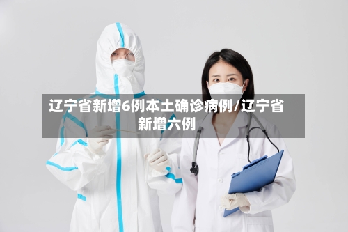 辽宁省新增6例本土确诊病例/辽宁省新增六例-第2张图片