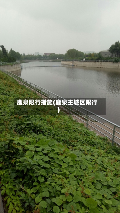 鹿泉限行措施(鹿泉主城区限行)-第2张图片