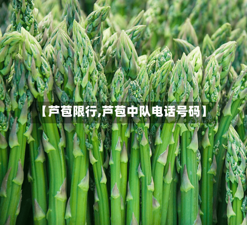 【芦苞限行,芦苞中队电话号码】-第2张图片
