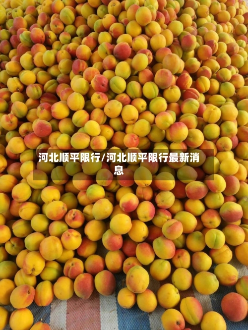 河北顺平限行/河北顺平限行最新消息