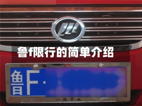 鲁f限行的简单介绍