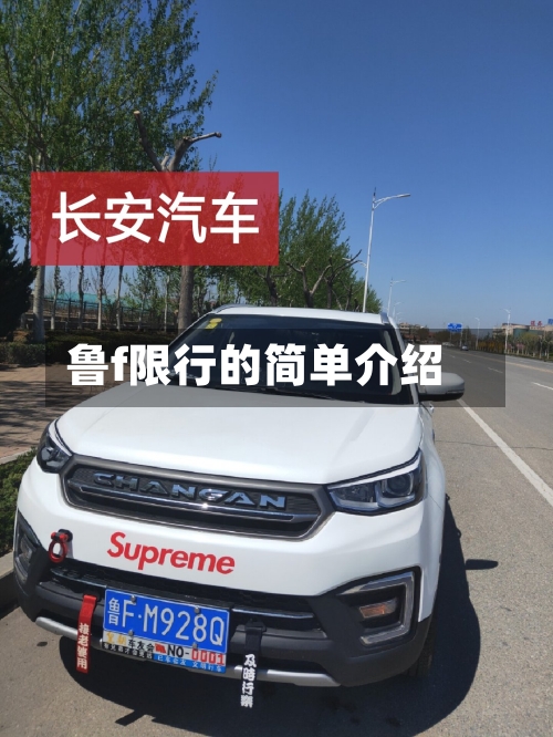 鲁f限行的简单介绍-第2张图片