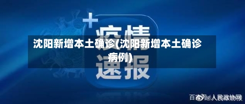 沈阳新增本土确诊(沈阳新增本土确诊病例)