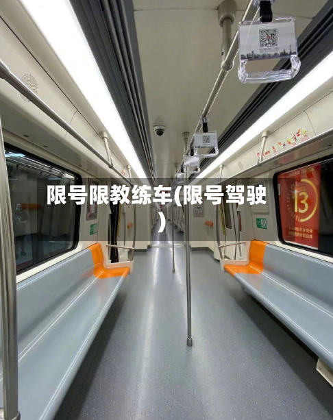 限号限教练车(限号驾驶)-第2张图片