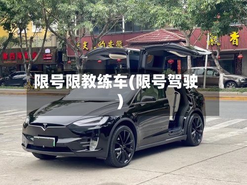 限号限教练车(限号驾驶)