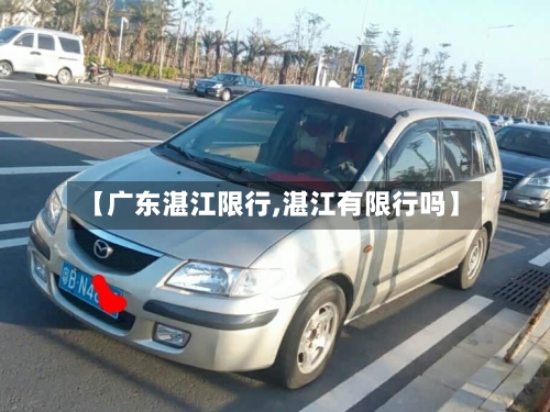 【广东湛江限行,湛江有限行吗】-第2张图片