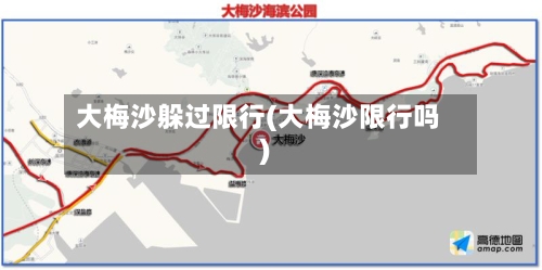 大梅沙躲过限行(大梅沙限行吗)