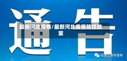 最新河北疫情/最新河北疫情防控政策-第3张图片