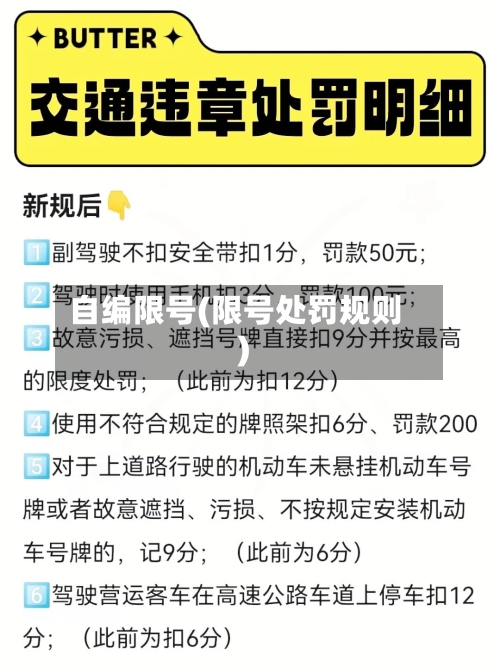 自编限号(限号处罚规则)-第3张图片