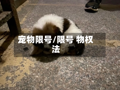 宠物限号/限号 物权法-第3张图片
