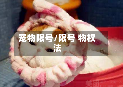 宠物限号/限号 物权法
