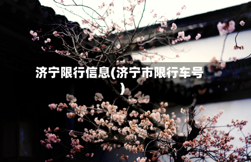 济宁限行信息(济宁市限行车号)