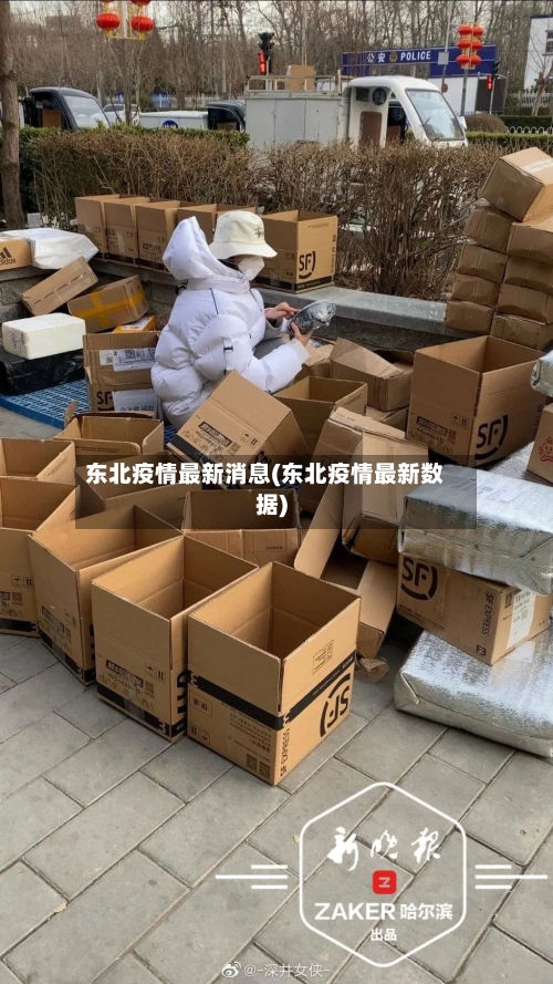 东北疫情最新消息(东北疫情最新数据)-第2张图片