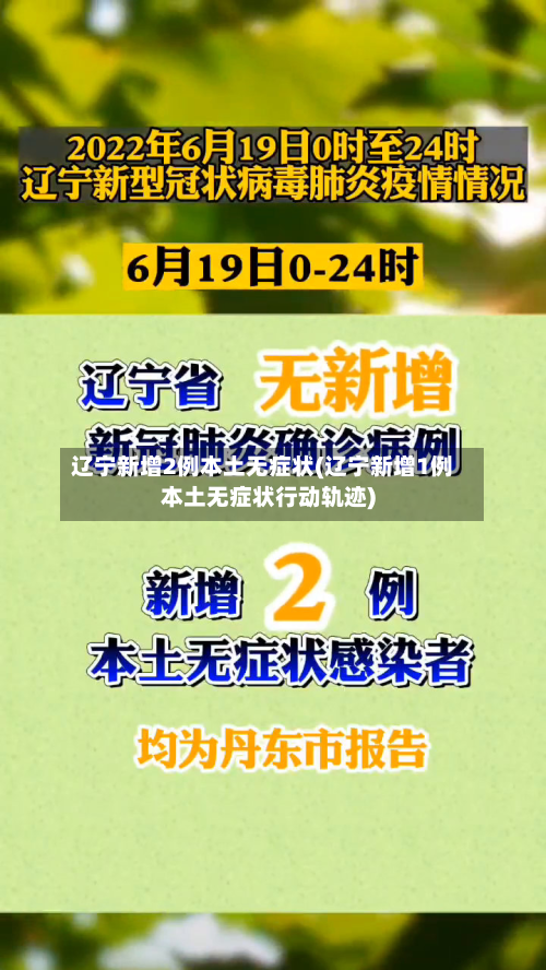 辽宁新增2例本土无症状(辽宁新增1例本土无症状行动轨迹)