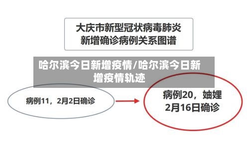 哈尔滨今日新增疫情/哈尔滨今日新增疫情轨迹-第3张图片