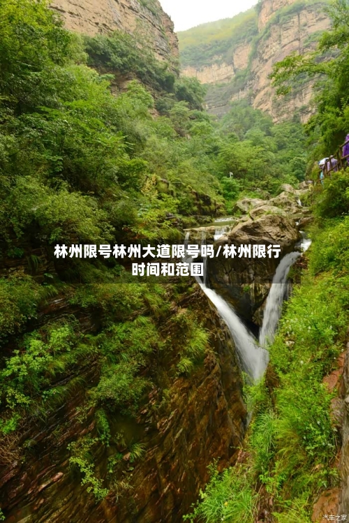 林州限号林州大道限号吗/林州限行时间和范围
