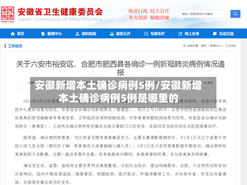 安徽新增本土确诊病例5例/安徽新增本土确诊病例5例是哪里的-第2张图片