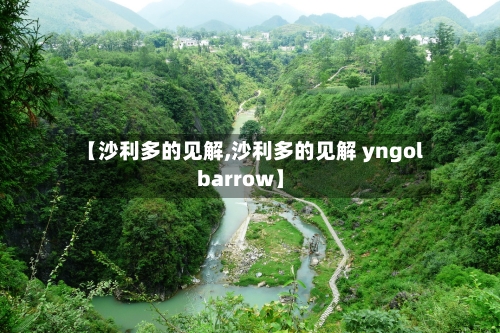 【沙利多的见解,沙利多的见解 yngol barrow】
