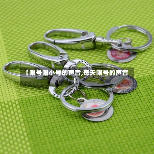【限号限小号的声音,每天限号的声音】-第3张图片