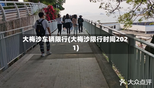 大梅沙车辆限行(大梅沙限行时间2021)-第2张图片