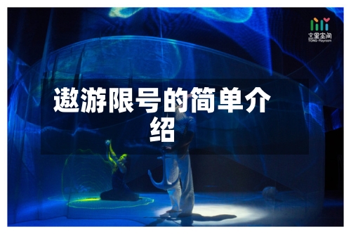 遨游限号的简单介绍