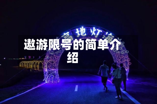 遨游限号的简单介绍-第2张图片