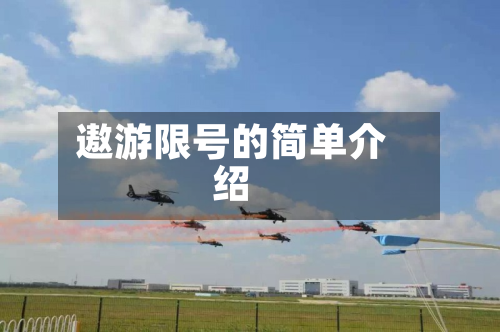 遨游限号的简单介绍-第3张图片