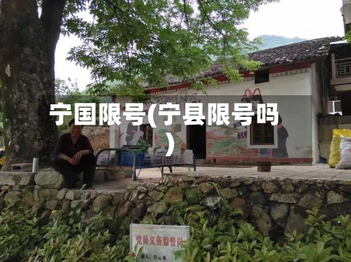 宁国限号(宁县限号吗)-第3张图片