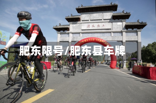 肥东限号/肥东县车牌