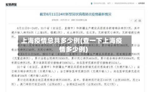 上海疫情总共多少例(查一下上海疫情多少例)-第2张图片
