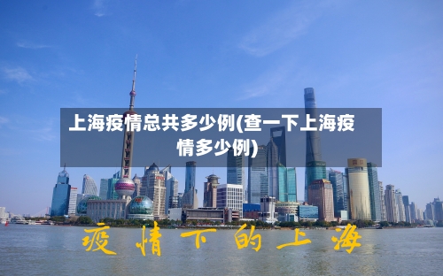 上海疫情总共多少例(查一下上海疫情多少例)