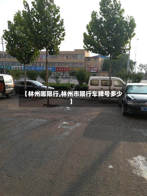 【林州哪限行,林州市限行车牌号多少】