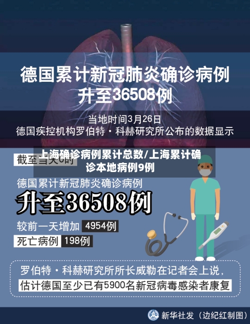 上海确诊病例累计总数/上海累计确诊本地病例9例-第2张图片