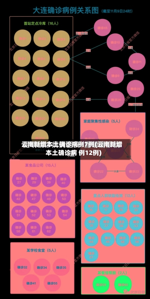 云南新增本土确诊病例7例(云南新增本土确诊病 例12例)