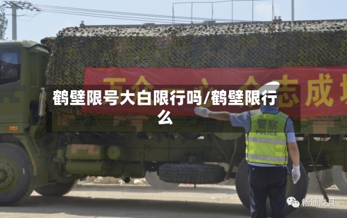鹤壁限号大白限行吗/鹤壁限行么-第2张图片