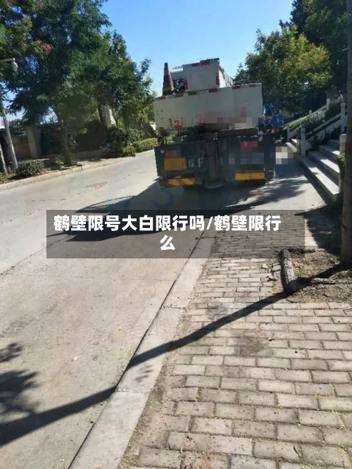 鹤壁限号大白限行吗/鹤壁限行么-第3张图片