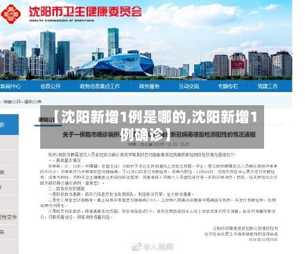 【沈阳新增1例是哪的,沈阳新增1例确诊】