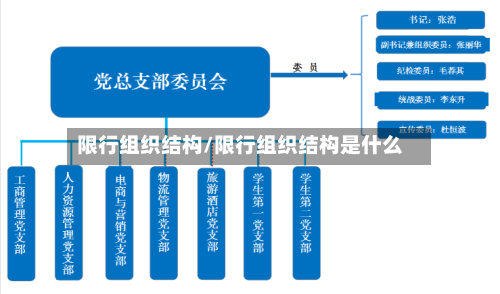 限行组织结构/限行组织结构是什么-第2张图片