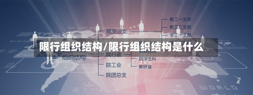 限行组织结构/限行组织结构是什么