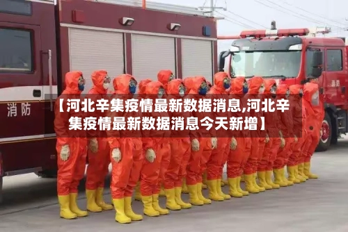 【河北辛集疫情最新数据消息,河北辛集疫情最新数据消息今天新增】
